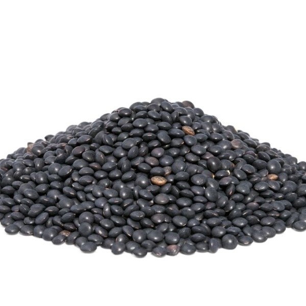 Beluga Lentils