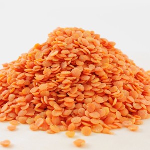 red split lentils