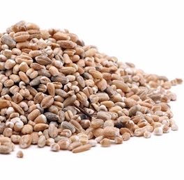 organic-barley-pearled-bulk_GRBARP2.5